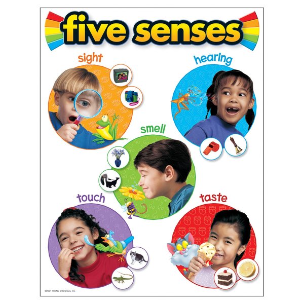 Trend Enterprises Five Senses Learning Chart, 17in x 22in T38051